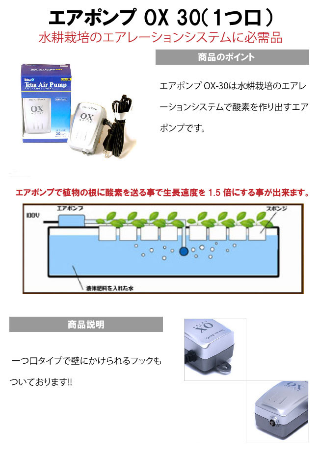 水耕栽培自作