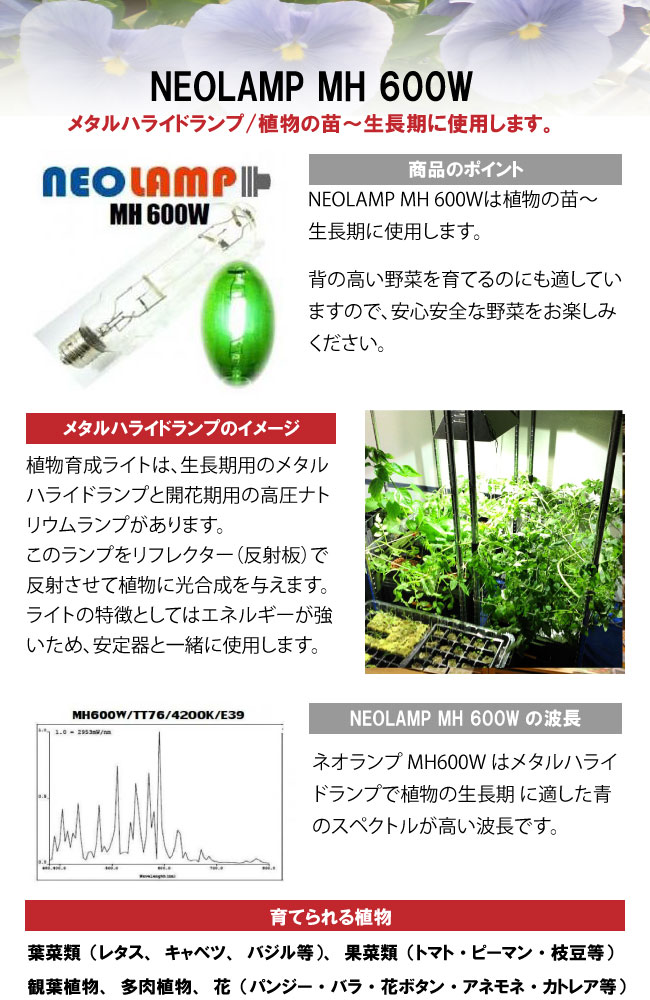 植物育成ライト