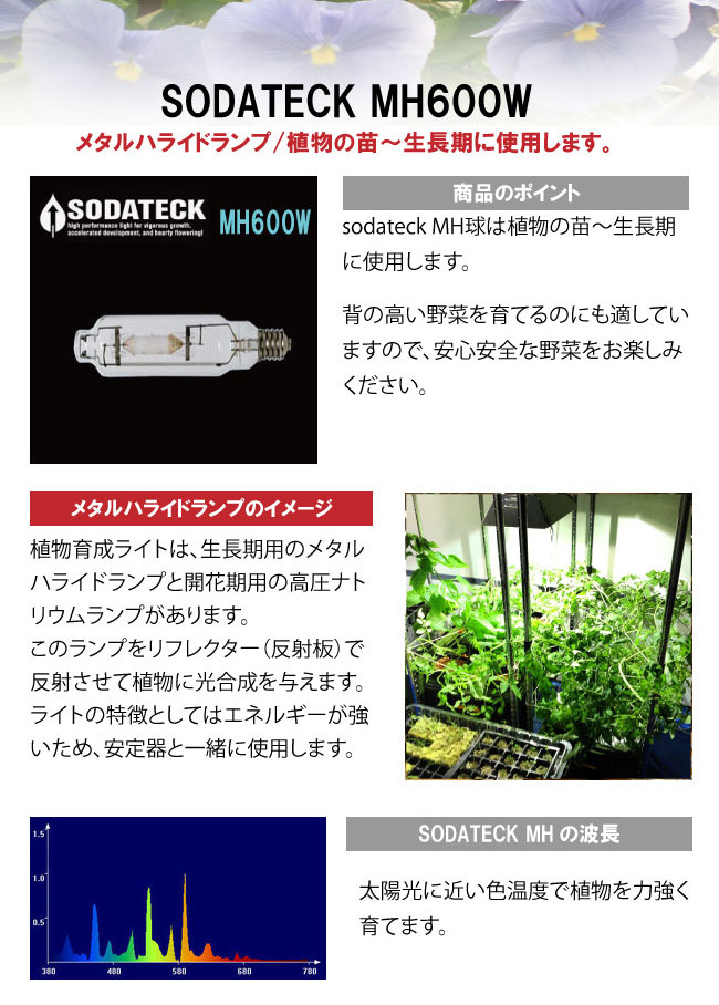 植物育成ライト