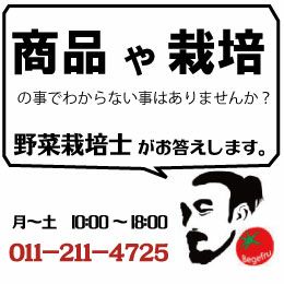 植物活性剤 GH Liquid Kool Bloom（リキッド・クールブルーム）946ml