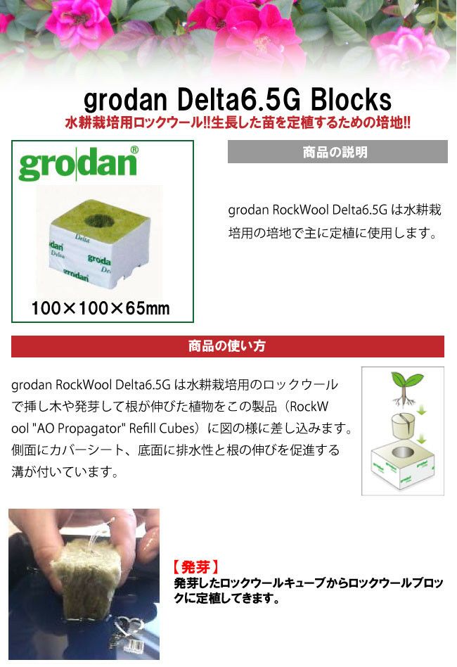 000000000594-02-l.jpg?t=