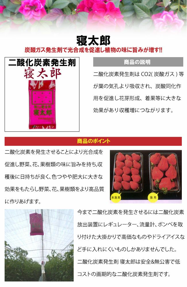 000000000648-02-l.jpg?t=